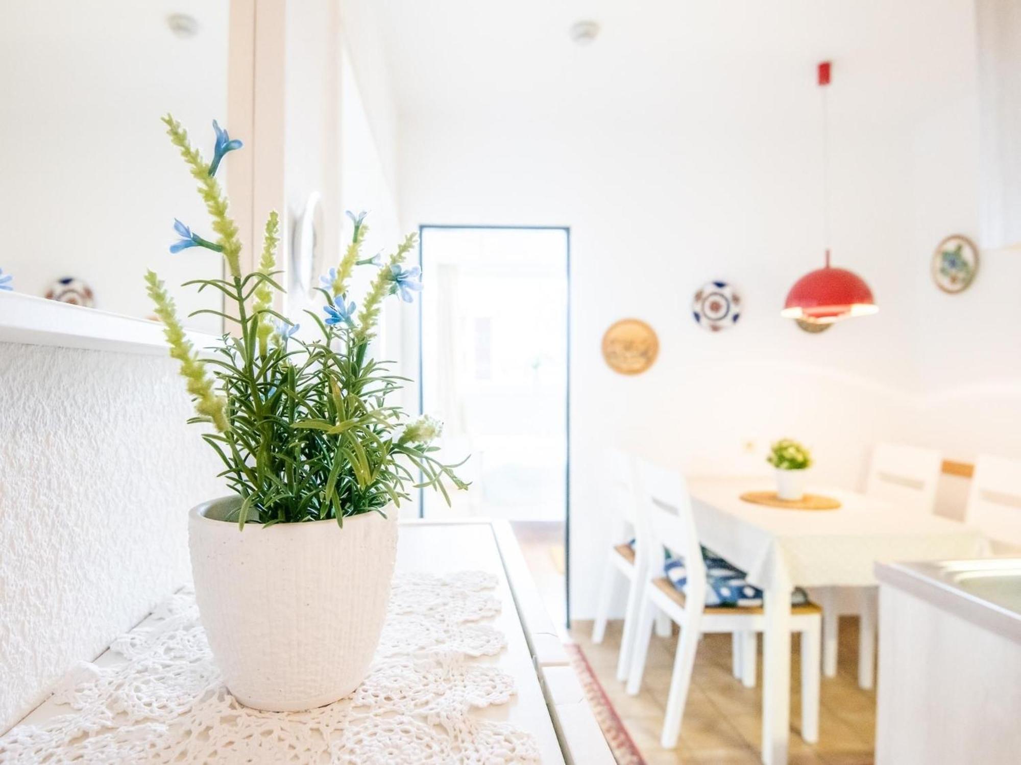 Haus Meeresblick Wohnung 24 Kellenhusen Bagian luar foto